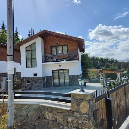 Villa In Mountains Bakuriani Εξωτερικό φωτογραφία