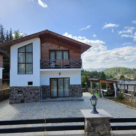 Villa In Mountains Bakuriani Εξωτερικό φωτογραφία