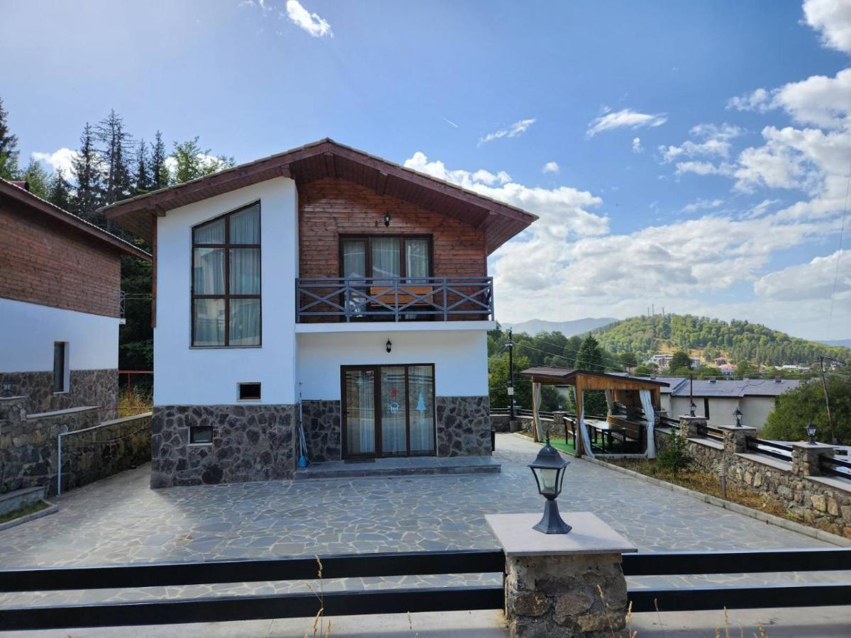 Villa In Mountains Bakuriani Εξωτερικό φωτογραφία