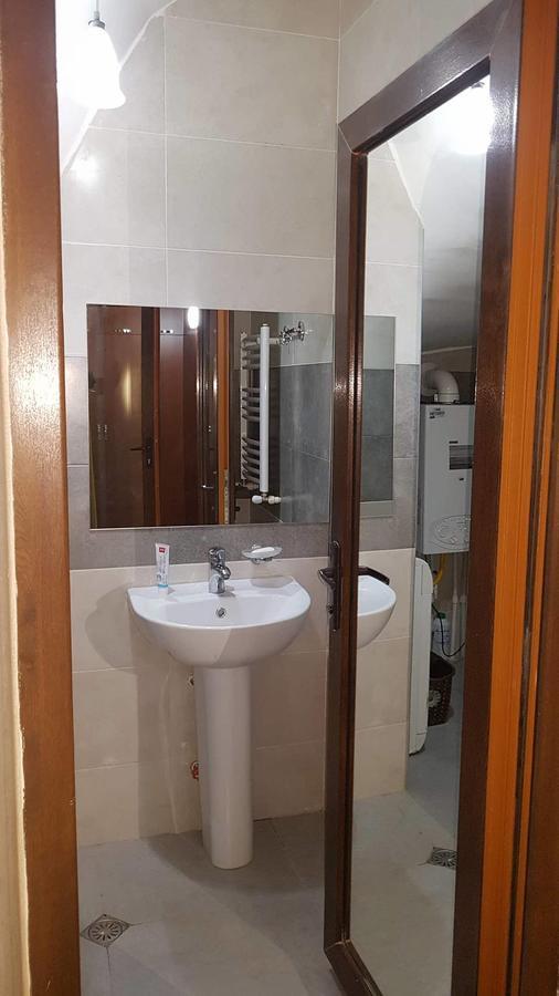 Villa In Mountains Bakuriani Εξωτερικό φωτογραφία