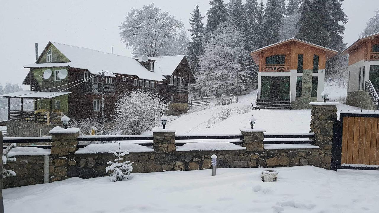 Villa In Mountains Bakuriani Εξωτερικό φωτογραφία