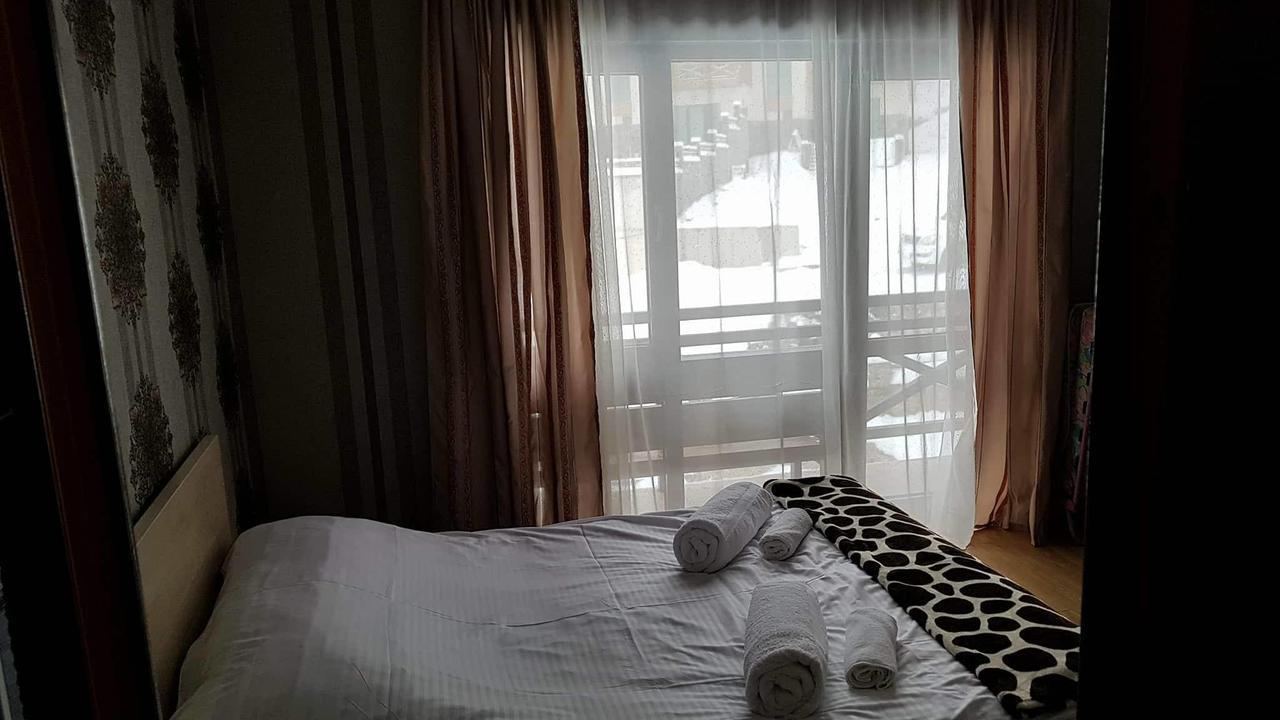 Villa In Mountains Bakuriani Εξωτερικό φωτογραφία