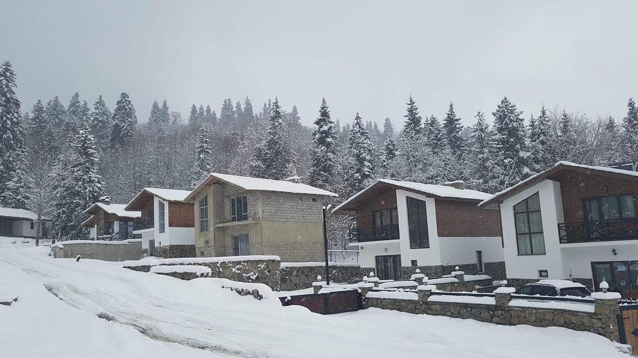 Villa In Mountains Bakuriani Εξωτερικό φωτογραφία