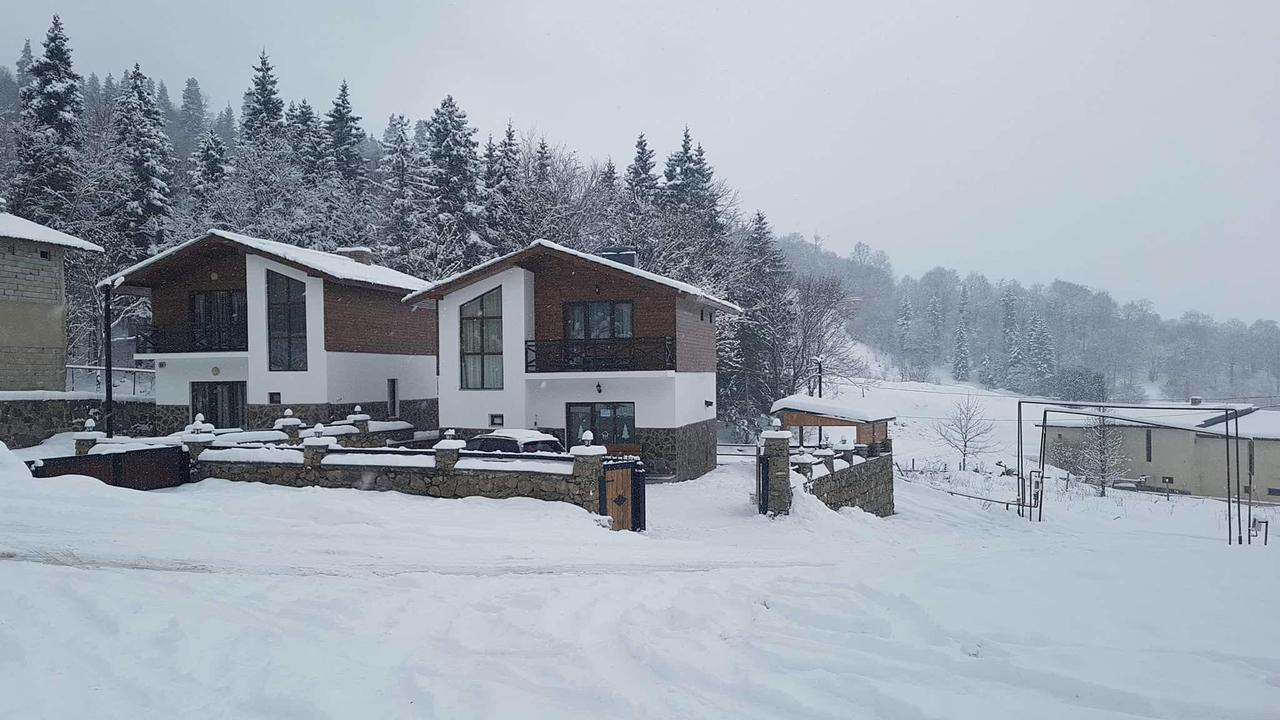 Villa In Mountains Bakuriani Εξωτερικό φωτογραφία