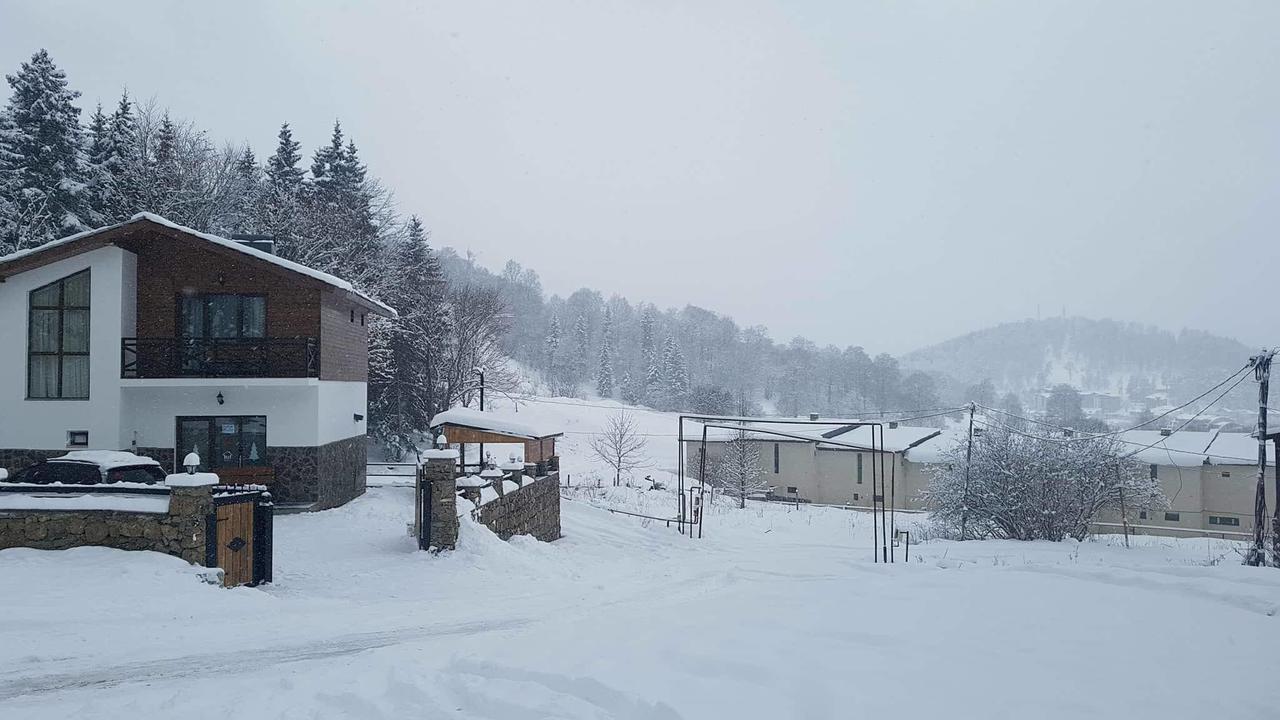 Villa In Mountains Bakuriani Εξωτερικό φωτογραφία
