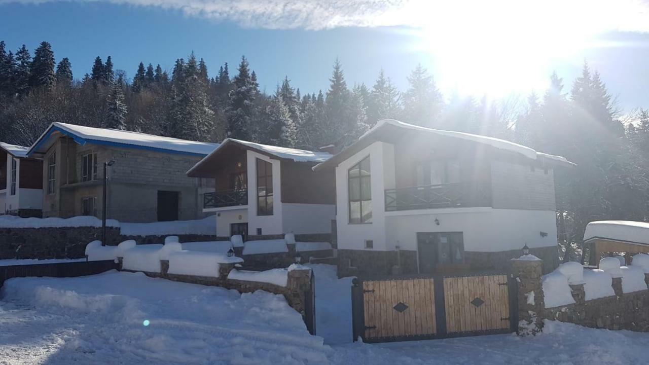 Villa In Mountains Bakuriani Εξωτερικό φωτογραφία
