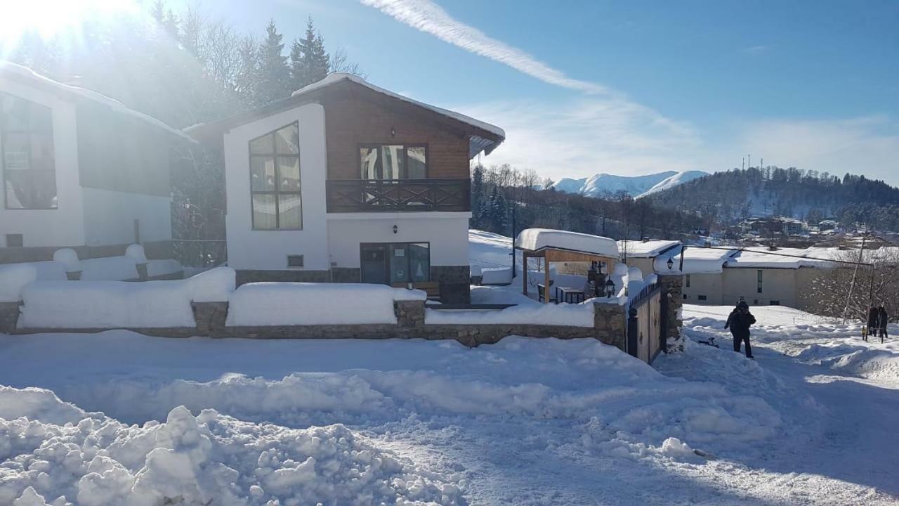 Villa In Mountains Bakuriani Εξωτερικό φωτογραφία